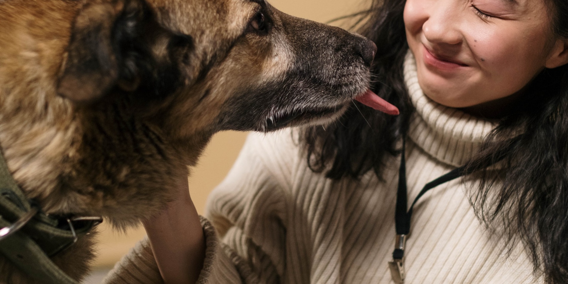 Volunteer caressing adorable dog with tongue out